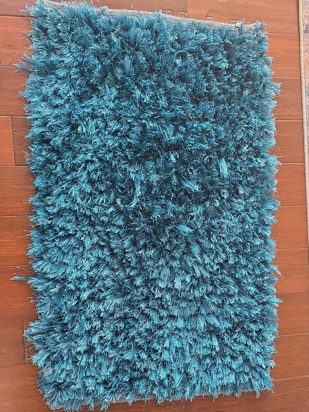 Teal Plush Shag Door Mat - Cozy Entry Accent